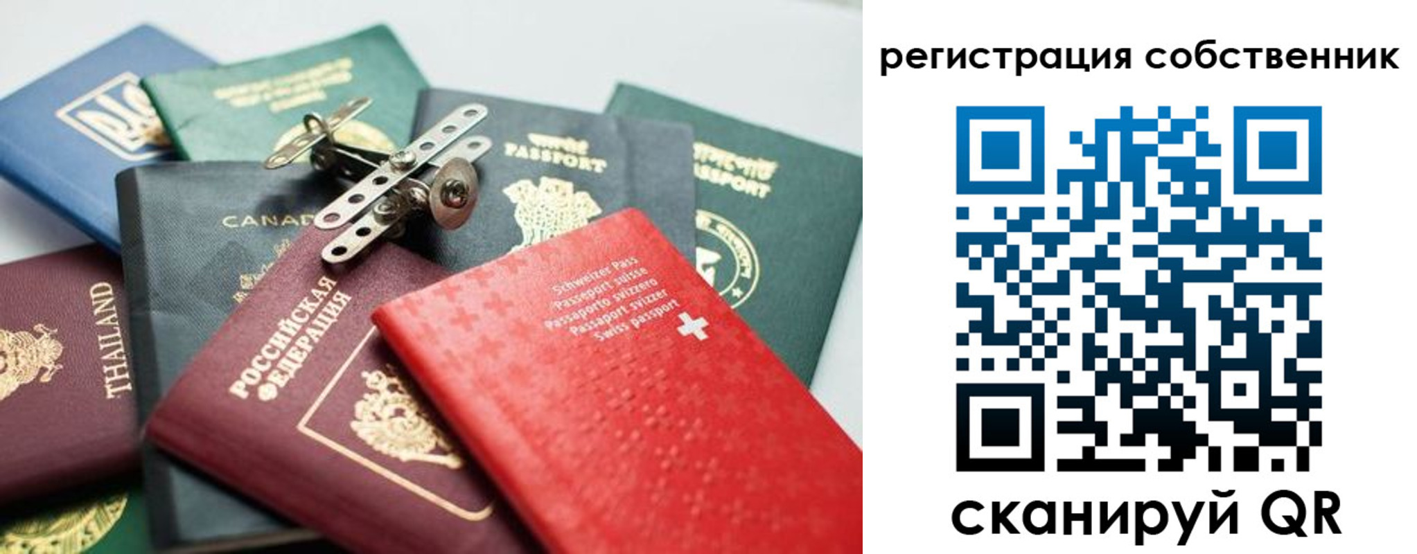 найти адрес прописки в Кингисеппе